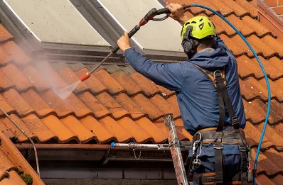 Démoussage et hydrofuge de toiture à Fraroz